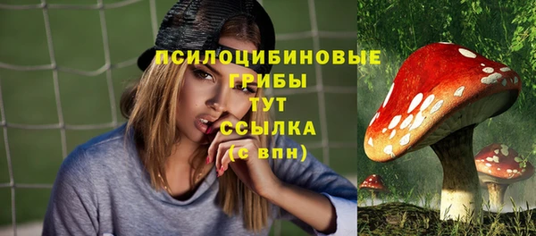 амфетамин Белокуриха