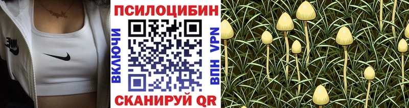 Псилоцибиновые грибы Psilocybine cubensis  KRAKEN рабочий сайт  Красавино 