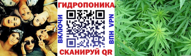 Марихуана гибрид  Красавино 